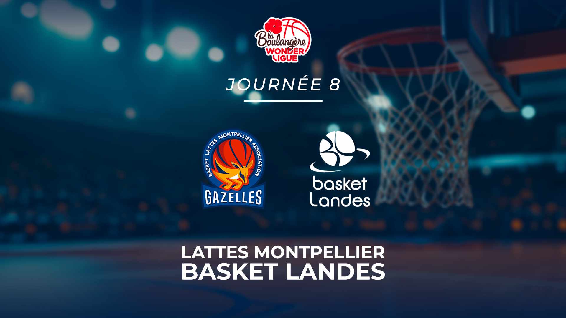 Lattes Montpellier - Basket Landes