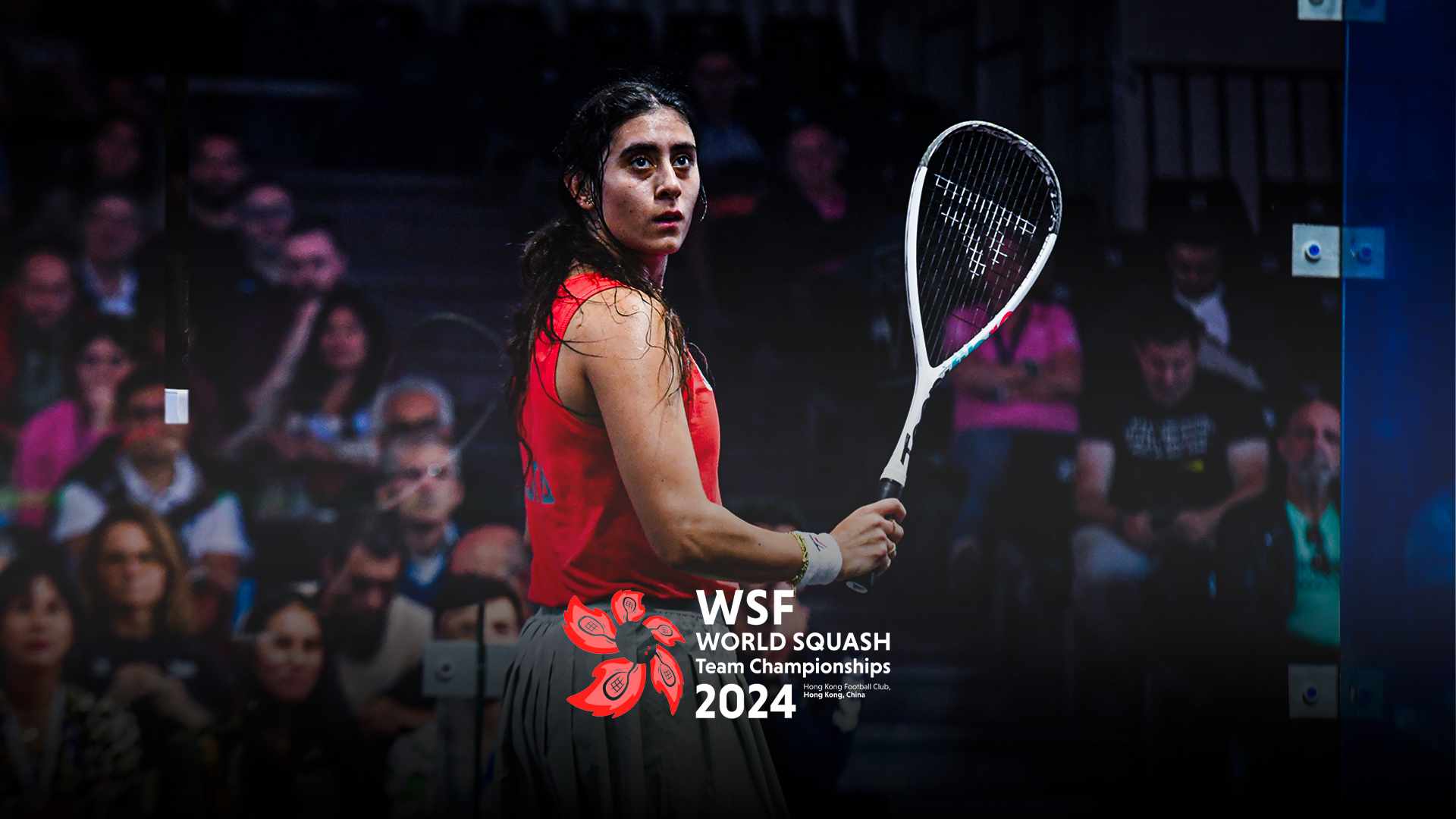 Championnats du monde de squash par équipes